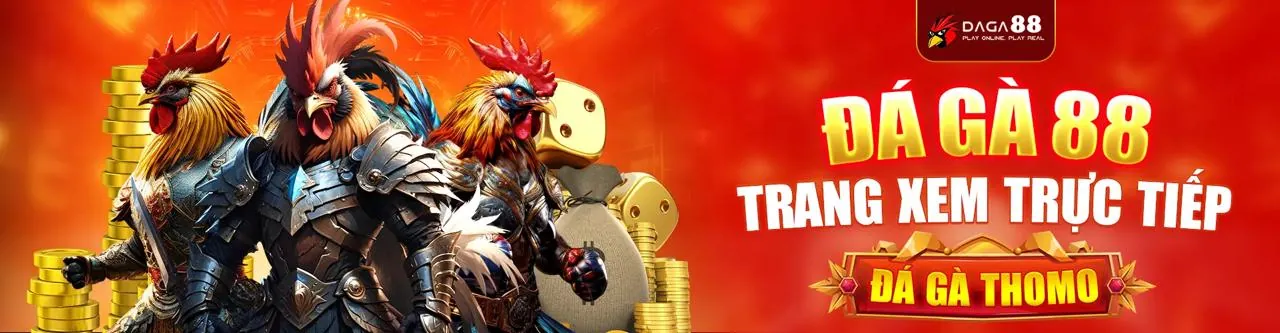 Sân chọi gà trực tuyến đỉnh cao tại tot88 nhà cái
